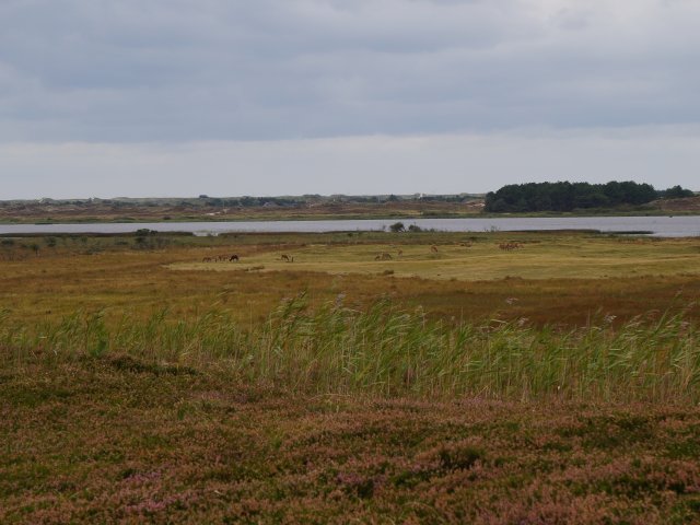 Tur til Jylland Sep. 2020